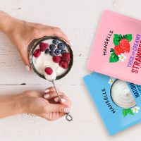 Hansells Yogurtiera